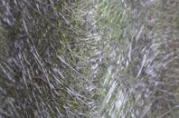 Benthall fibreglass roof work